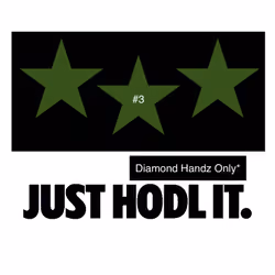 JUST HODL IT. #3