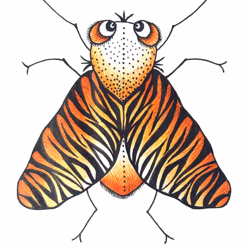 #1 Tiger Fly