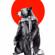 86505360377229681620405509490148986273820450980104771692020488235518395416577