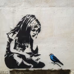 ROBIN