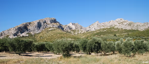 Item #56160022432504401067016456335604766806918299466486402665658942081348273176577 Media