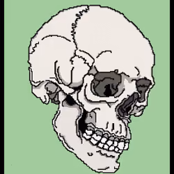 Crypto Skull 10