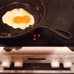 6529 puts food in your plate