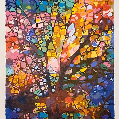NFTNurseShelley Collection