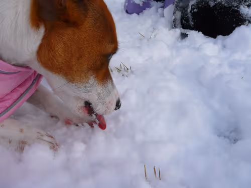 Item #5985210497355107417265215381210579199842884272282595265964883389120214204417 Media