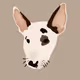 Junior the Miniature Bull Terrier