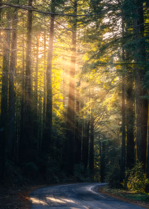 Item #99379921276153973634104125152908526548510783699959858376338453562309964988417 Media