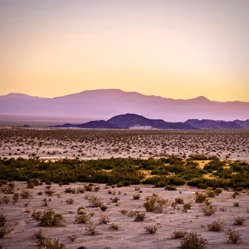 StuartPalley Collection