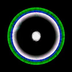 51929734946411346289540790635765095060363125039145709683616697207934752391169