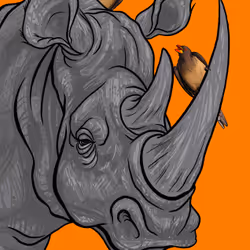 60342236005163987948556802886235213316063293567500632170058184722445550747649