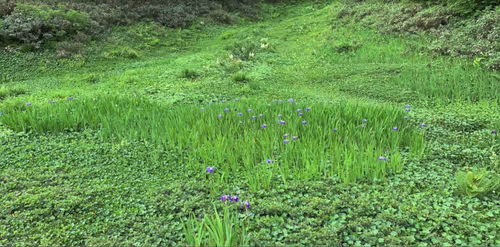 Item #56768362257642051605584180201147803980259238450747999102002809664390758924289 Media