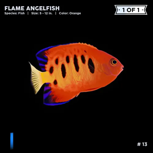 Item #72122608948950586905896945235695353296847960895015423047944334416008483700737 Media