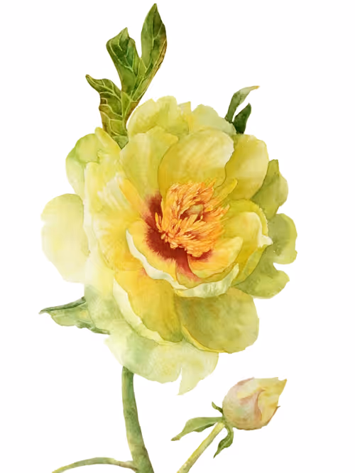 Item #107725884450228236014973938527393161601978279092046824683445385246094575796225 Media