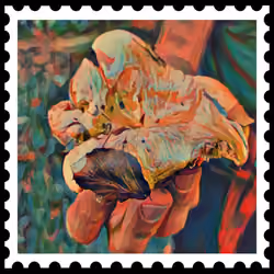 The Stamp Collector - Magic Mushroom