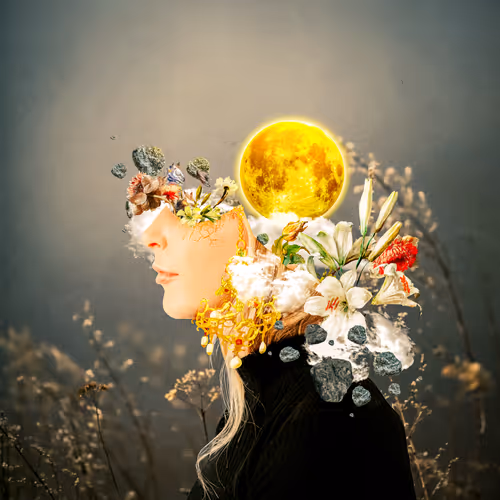 Item #26933090564671490724955718680642040382525628384000115065717975073434332299265 Media