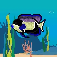 Etherfishing