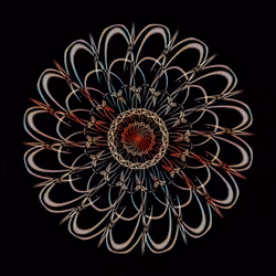 26185187814367725376940026929040218982398144969044494291860281420399725510657