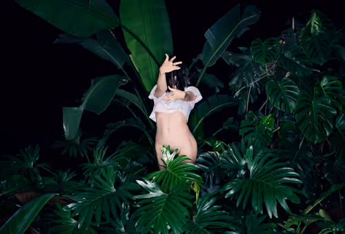 Item #29225512278462627521798648337765154625875213490195303772458487975751876345857 Media