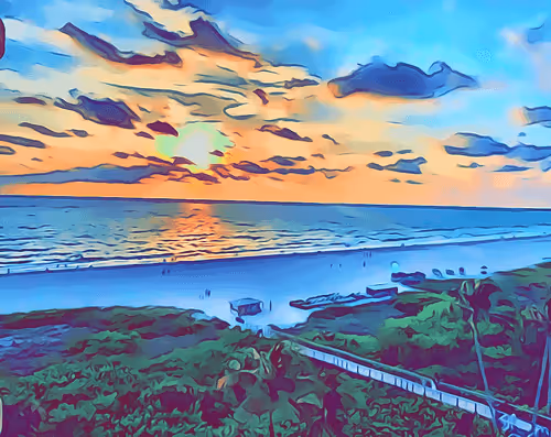 Untitled Collection #20209143