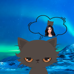 DreamycatKylie #7