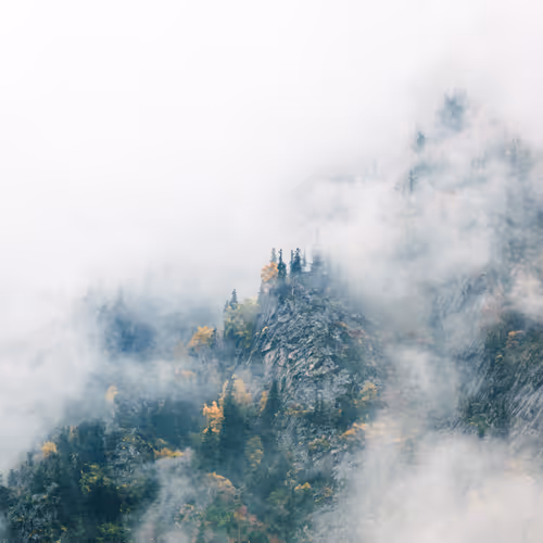 Theenchantment