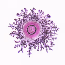 93517858934538610296799104720857224042243540248850289661824237405598562385921