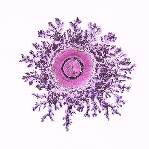 93517858934538610296799104720857224042243540248850289661824237405598562385921