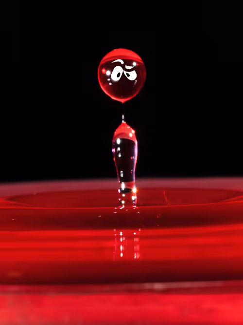 Item #93843816189578981246560604655943518308185846623120940061859981465042661933057 Media