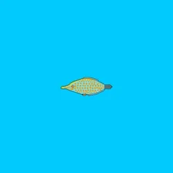 Under The Sea #00043
