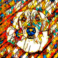 Item #11713324548955284695325485690738337828837691177487584009090008096431897837569 Media