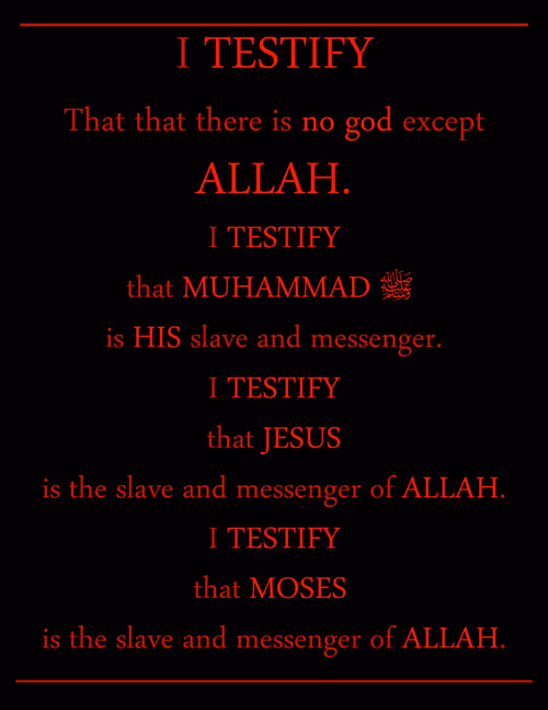 Item #34085441569699423005310991372941828806155687762378495952169943242855801683969 Media