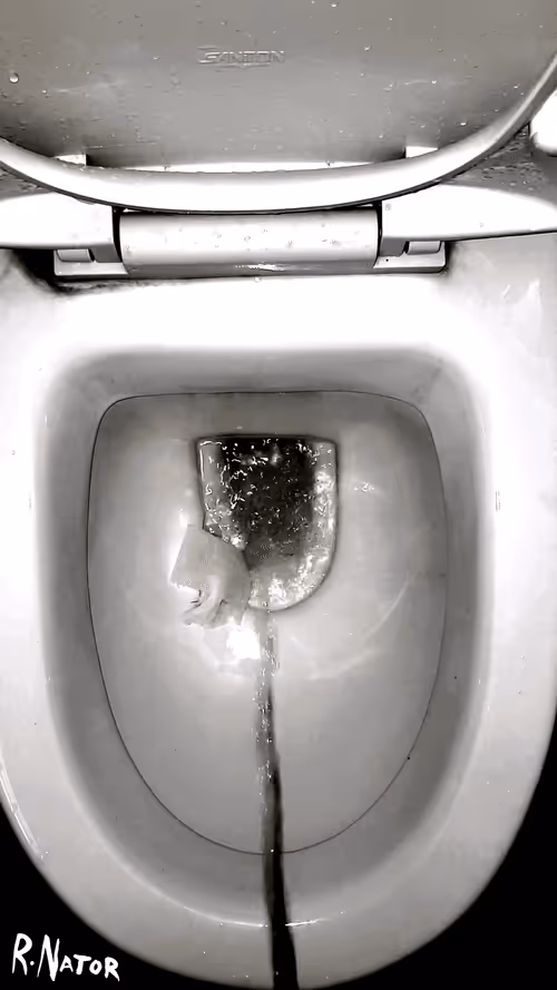 Item #12660136923828748263426703316480839463053827608546839420335323473156551737345 Media