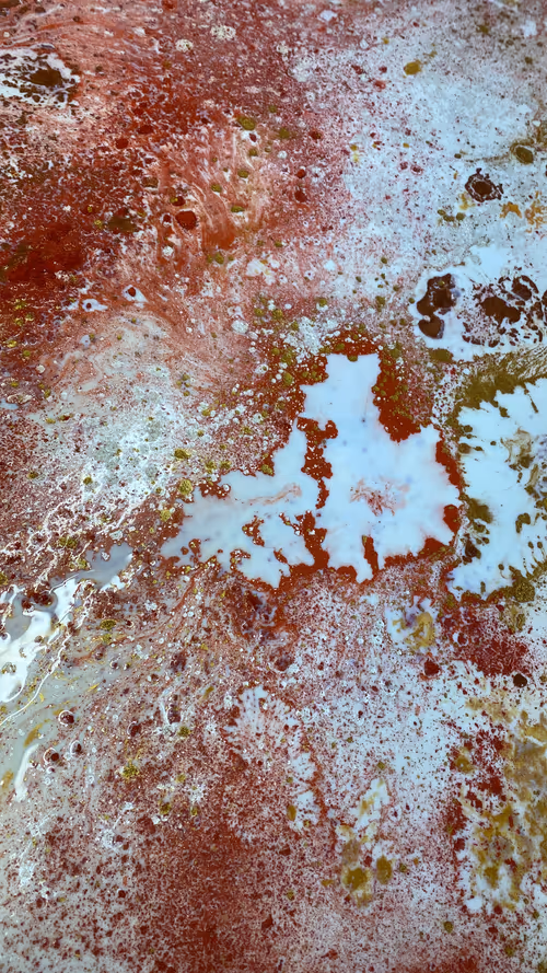 Item #26721826074738700634037240106333212123112756491297370697837159689177484230657 Media