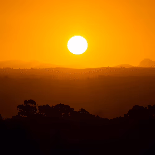 Supernatural Delight