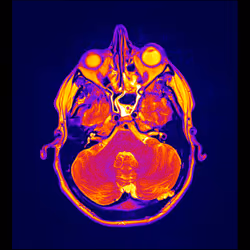 64162533542198579898252916190583583845604629893829087458582975947003133952001