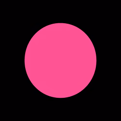 French Fuchsia #039