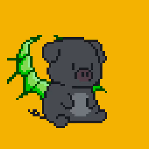 Pig&Pig collections