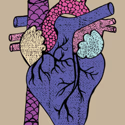 28824502245252267217549902857601847351510039266873569823091148187617179205633