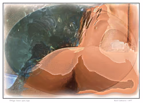 Item #11017776651197561377596972513232318538951070019919471549436519169915871035492 Media