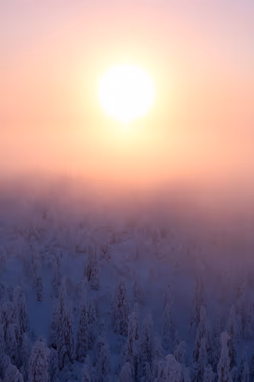 Item #85137439897558800446681939847979956921112818192745958846838339011736015732737 Media