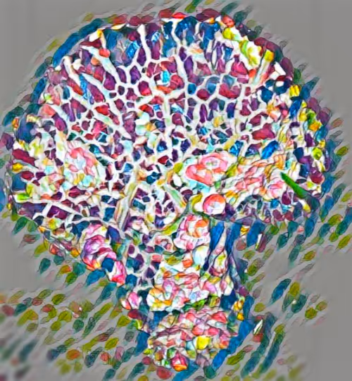 Item #80050559332347163335601971796963442430023304175303914027877321149461852848228 Media