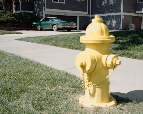 Item #84024337187978620715230419621117726226038651953477556812325436911707815411713 Media