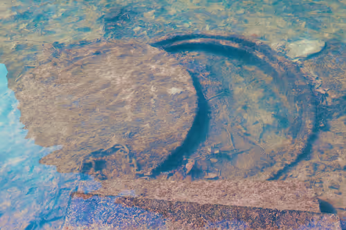 Item #94035650234493151169169307616889538055244007343231067987220881147186533892097 Media