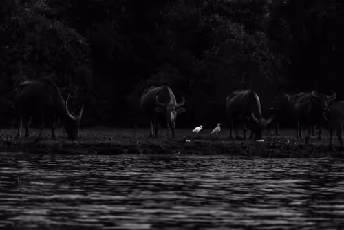 Item #105679162715773690367894814568251153202929894369313826483118647865281230143493 Media