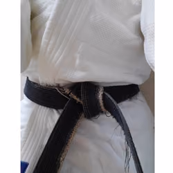 Judo leader (lightweight class)