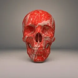 Skull #5