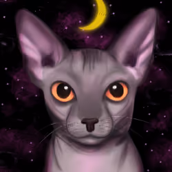 Galaxy sphynx cat #2