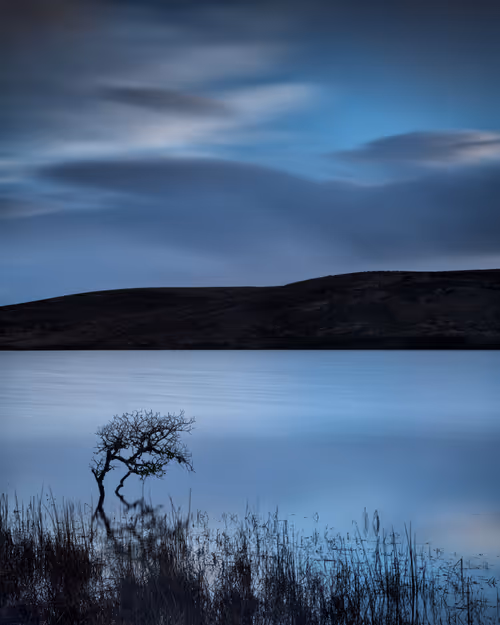 Item #33905874090819082513688943538230910820806372635716531311002980179451819589633 Media