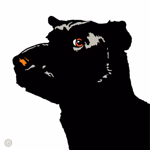 Item #1471147628704737889438767133014226167945868547252600766557675656664953389057 Media