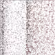 65038669959224783535231362386945708685144302171741621543739305024526133231617